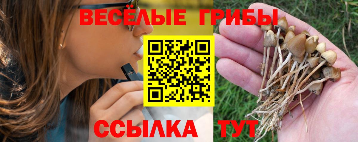 Махачкала  Псилоцибиновые грибы прущие грибы  закладки  Вход с VPN 