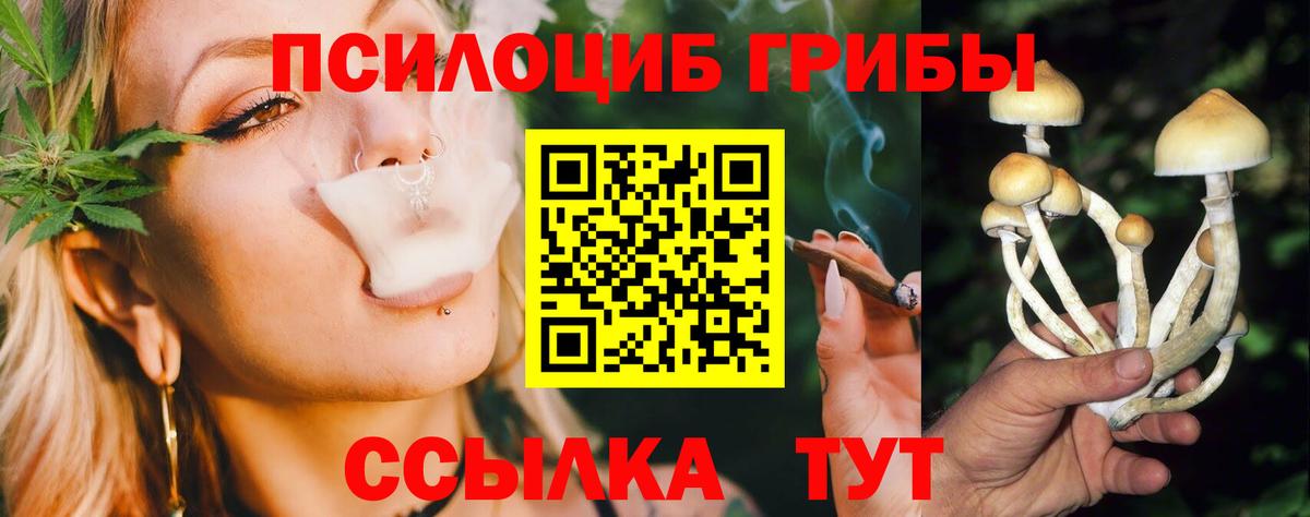 Галлюциногенные грибы MAGIC MUSHROOMS Махачкала